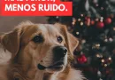 MÁS LUCES, MENOS RUIDO