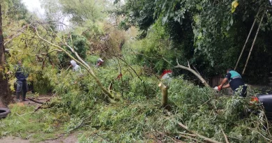 Situación tras el temporal